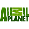 Animal Planet онлайн